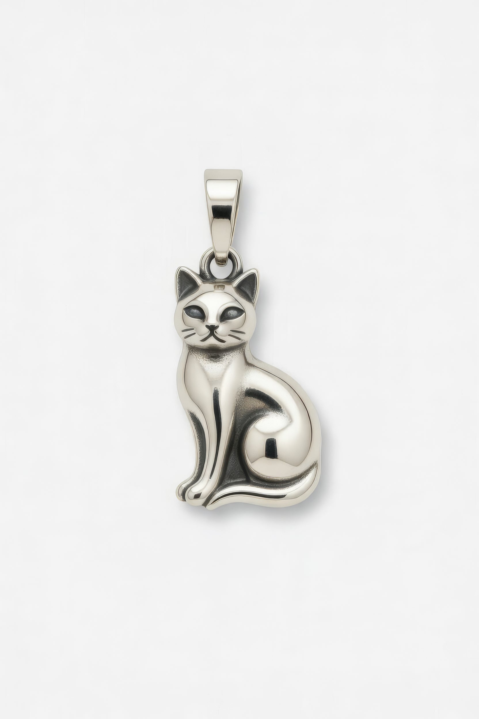 Bruce's Cat